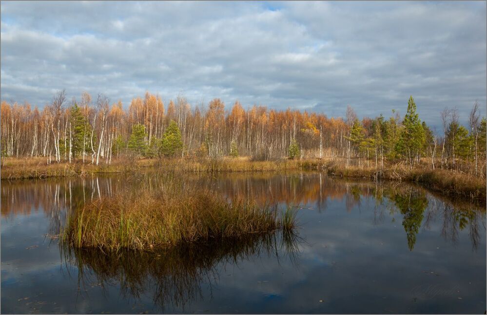 Затягивает