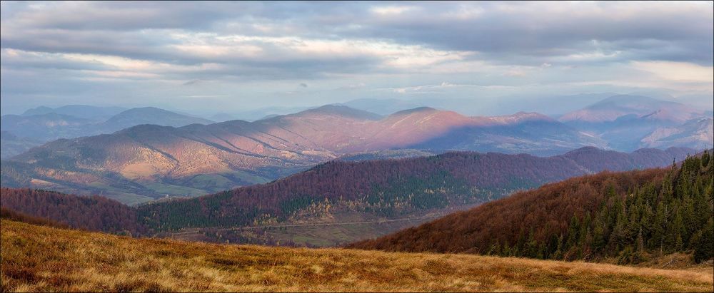Осень на Вододельном