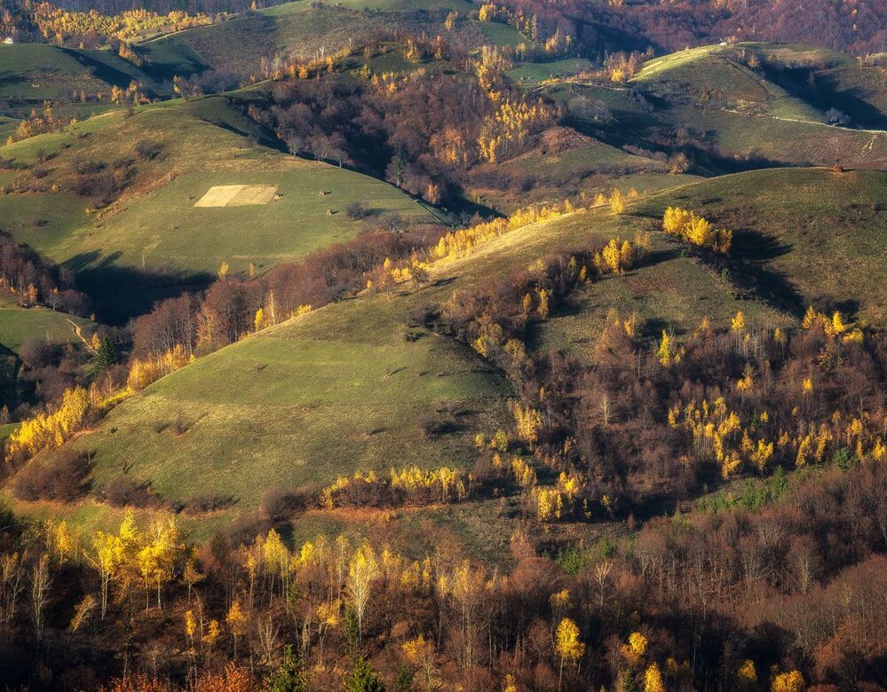 Romanian country side