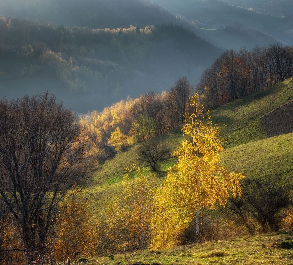 Romanian country side