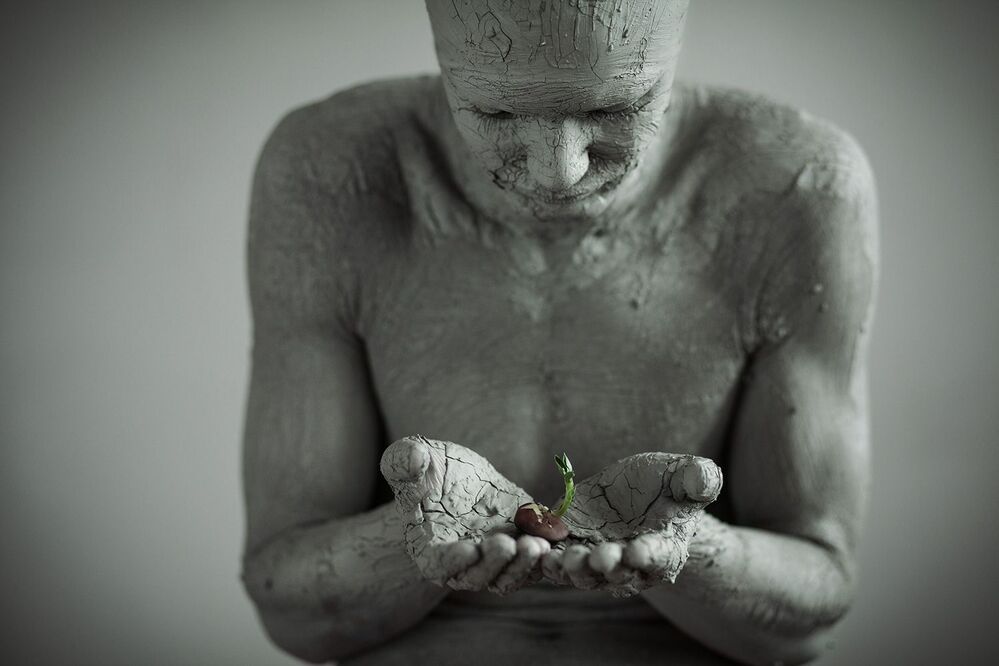 The sprout