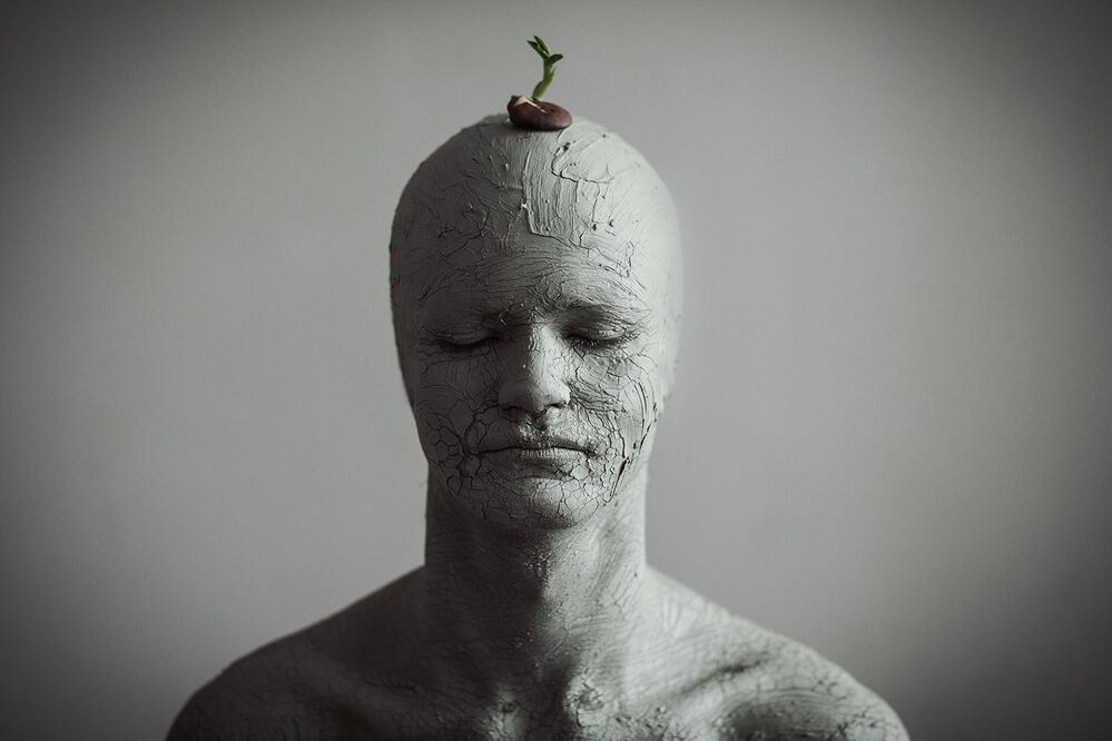 The sprout