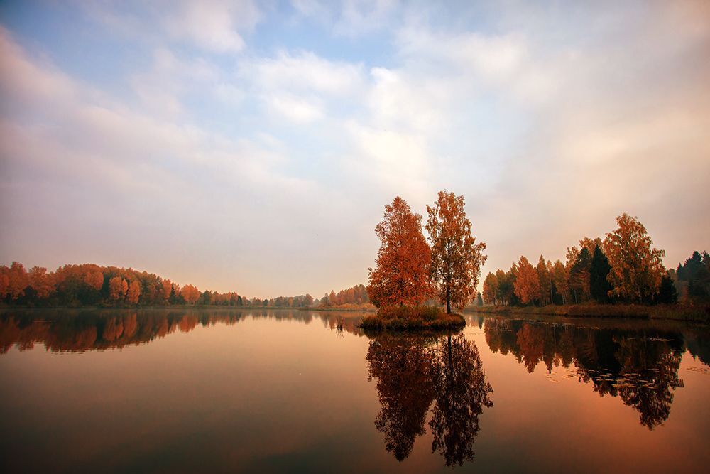 Photo 469081
