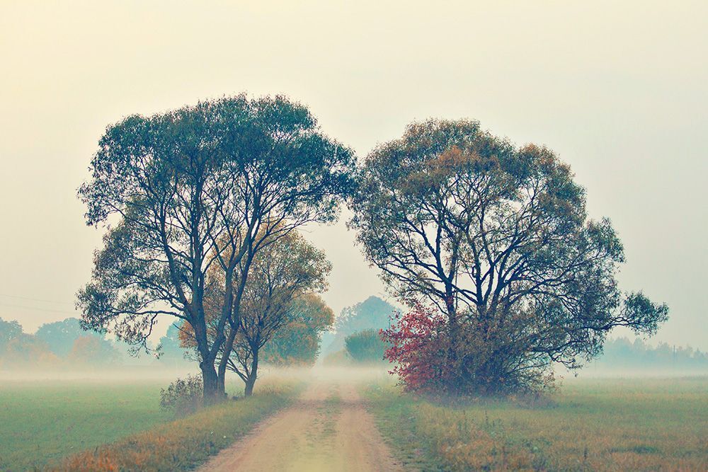 Photo 469082