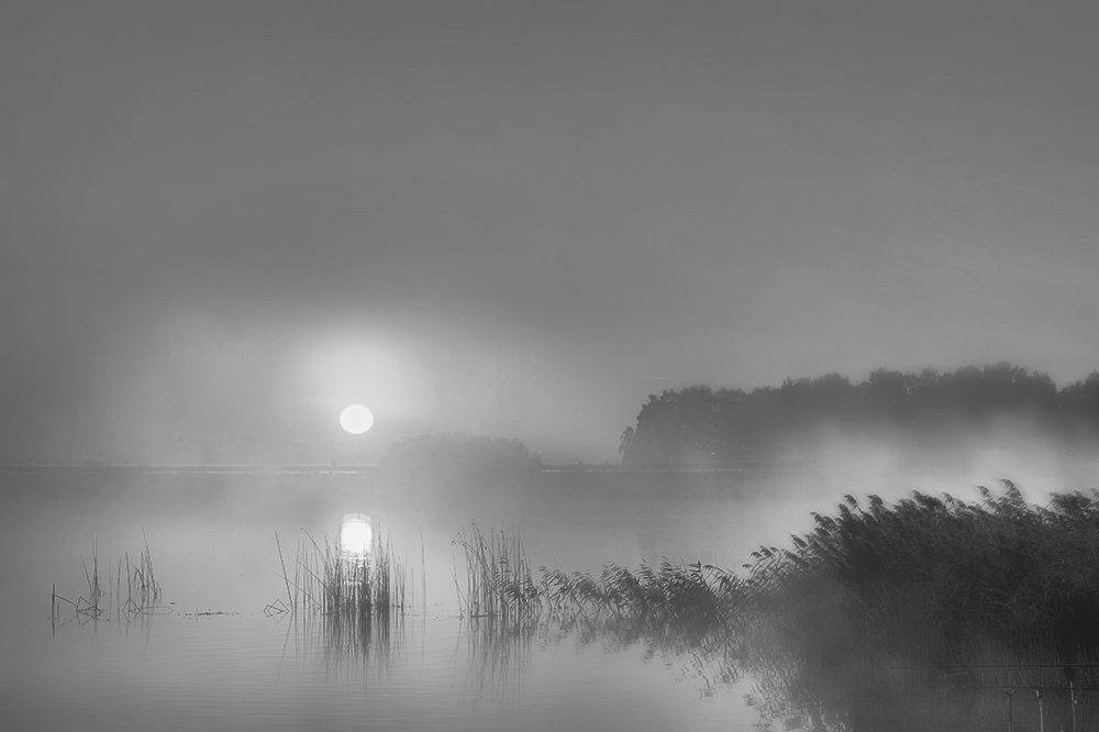 Photo 469084