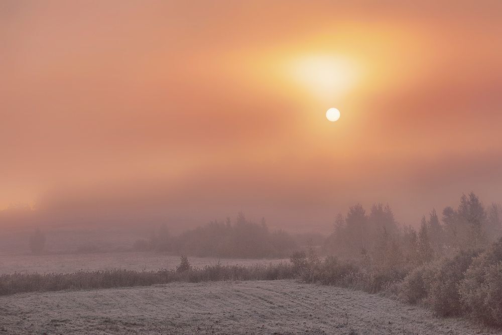 Photo 469085