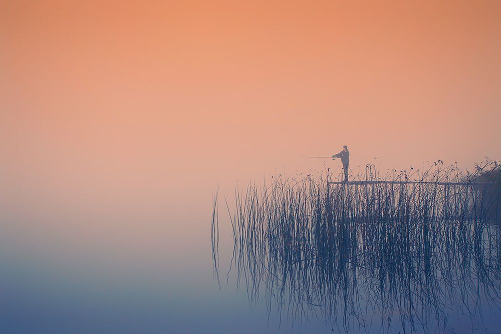 Photo 469087