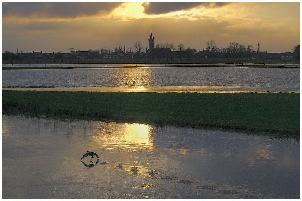 Flood.
