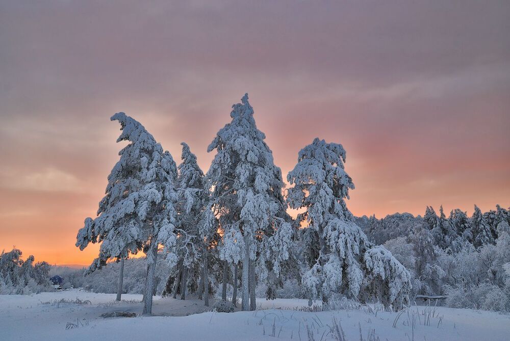 Зарисовки у дороги