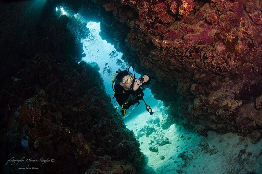 Сафари по Красному морю.