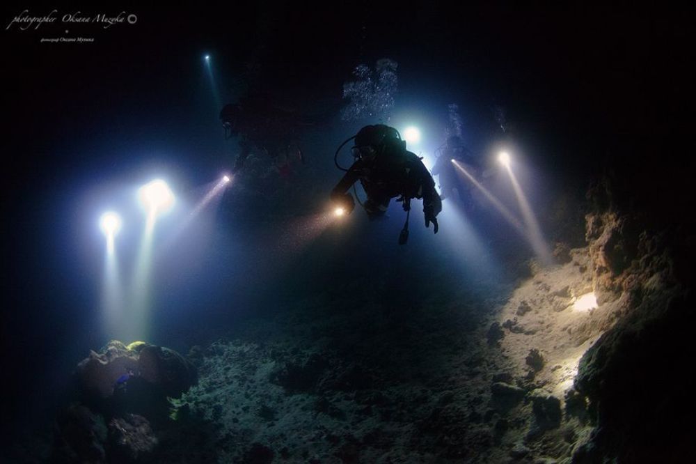 Сафари по Красному морю.
