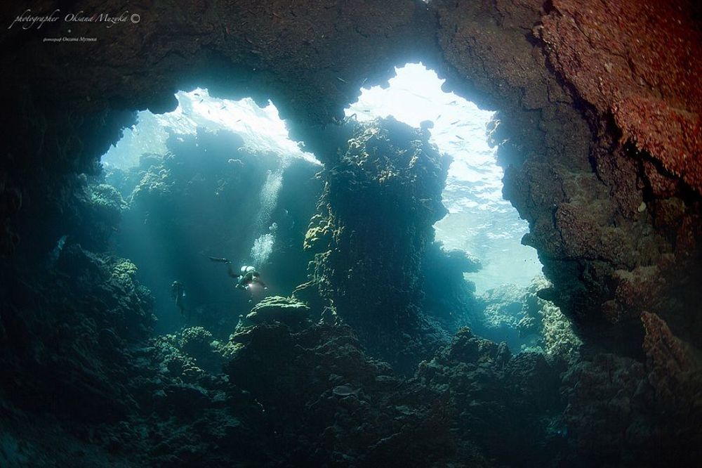 Сафари по Красному морю.