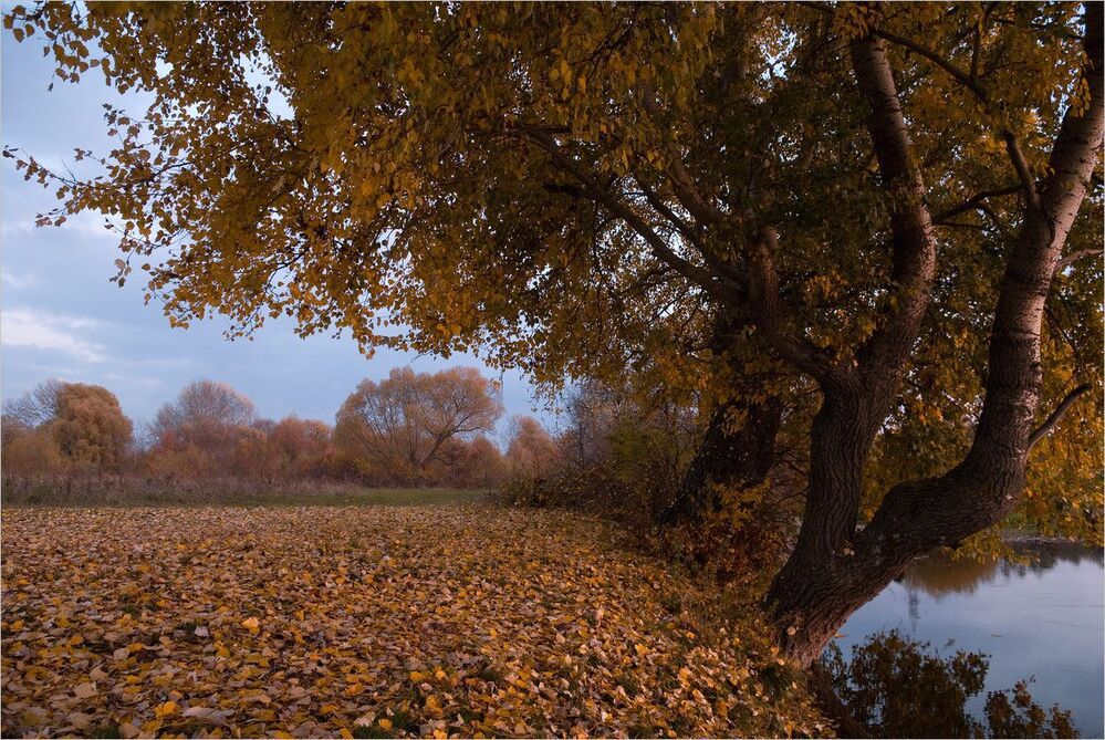 осень на старицах Горини