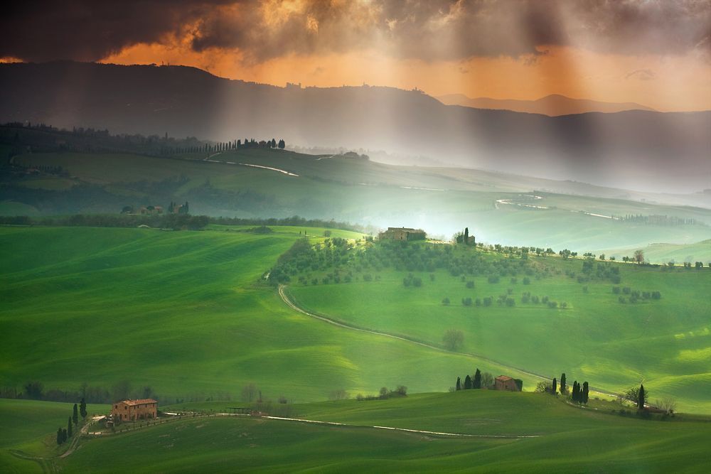 After the rain