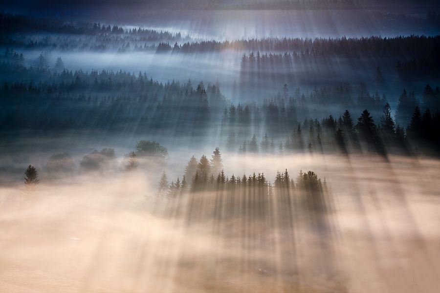 First rays
