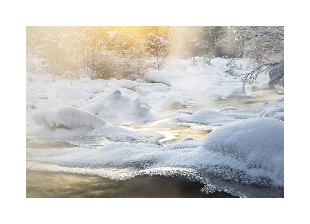 The morning of winter