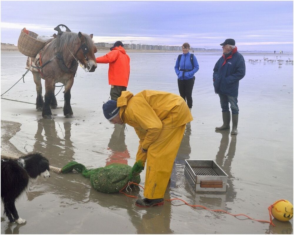 They have 7 kilo caught.