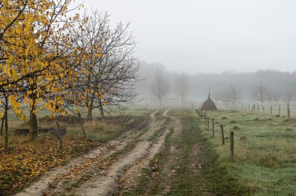 Photo 472433