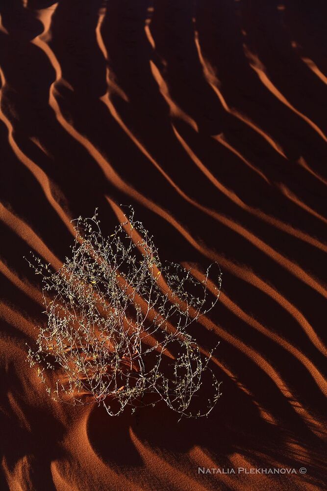 &ldquo;Passion&rdquo; Monument Valley, Utah-Arizona border, USA