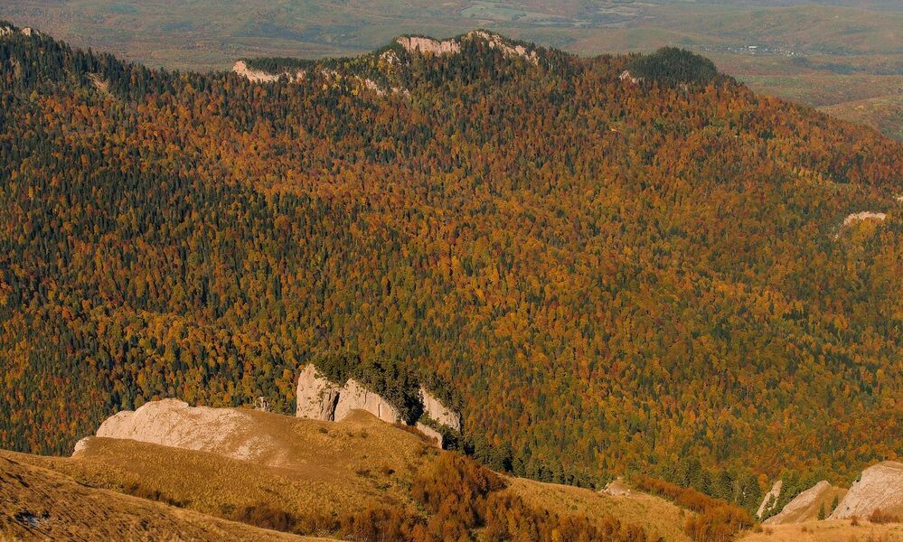 Краски осени