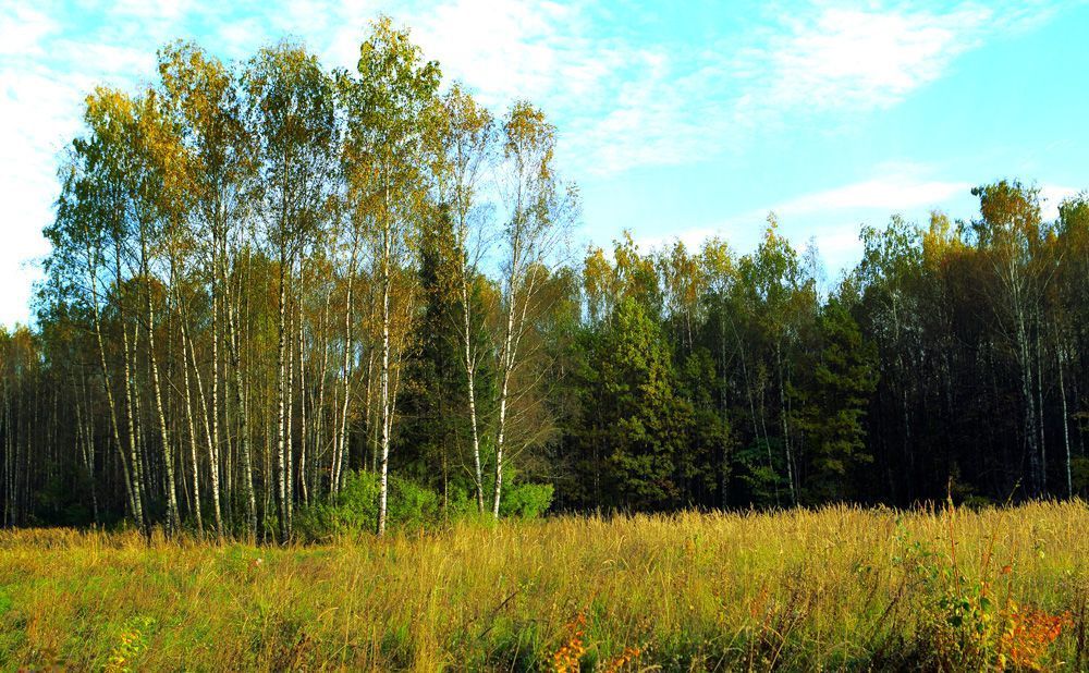 Photo 473117