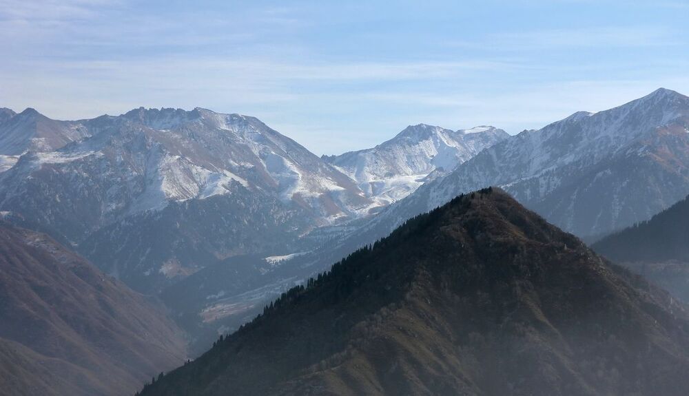 Photo 473756