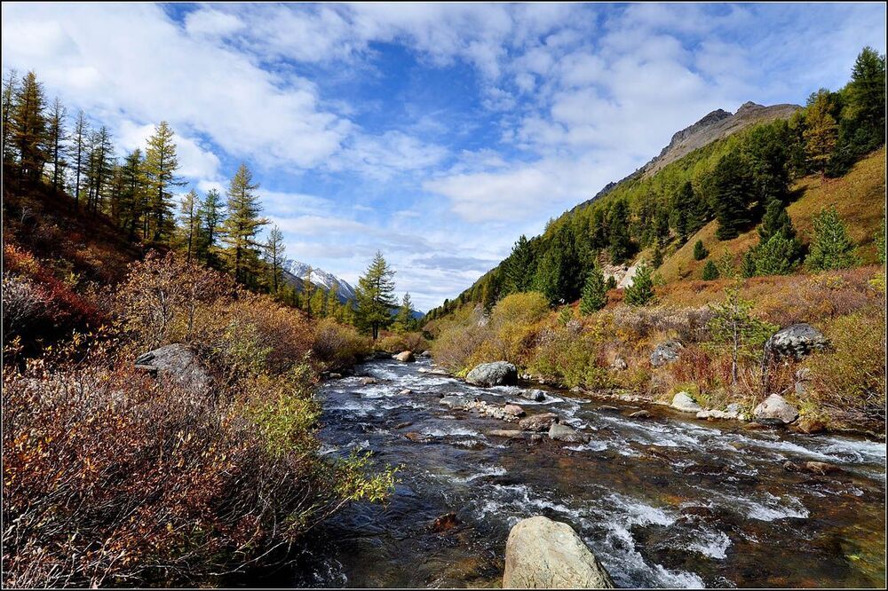 Осень в горах  Алтая