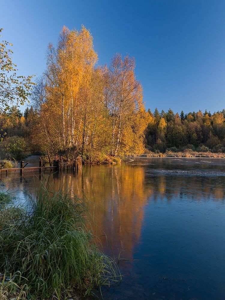 Первый лед
