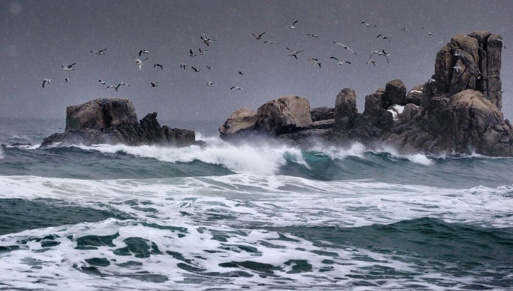 East Sea in winter