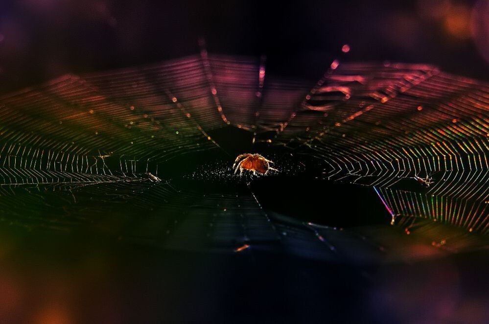 Colours Two