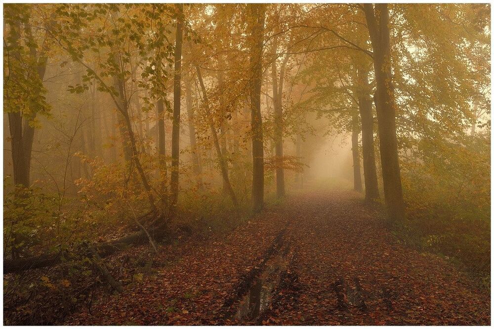 The end of autumn.