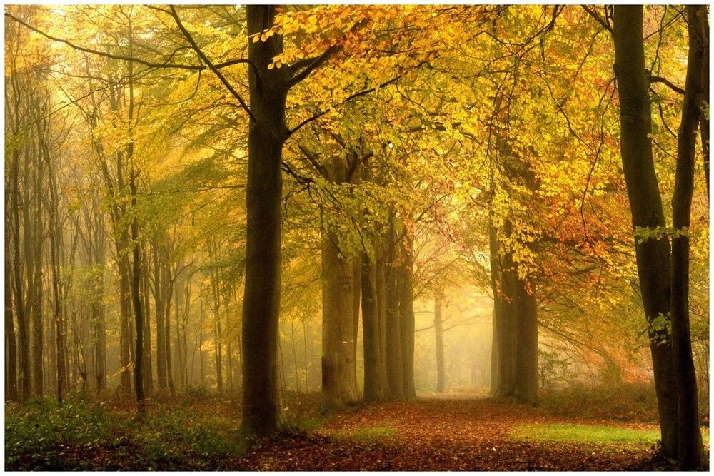 The end of autumn.