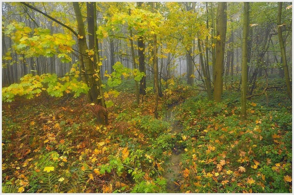 The end of autumn.