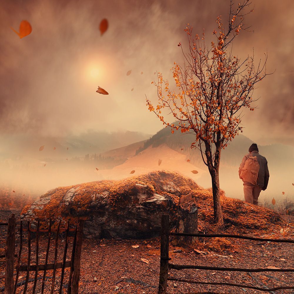 Sweet November ending