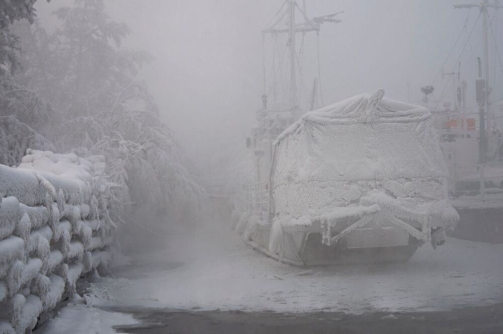 Пережить морозы.