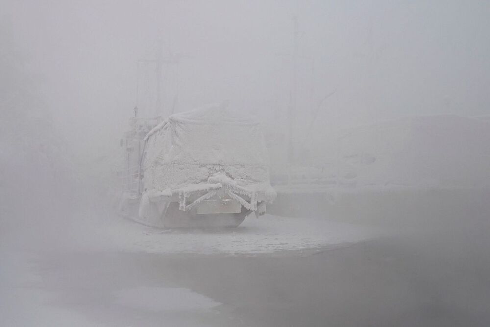 Пережить морозы.