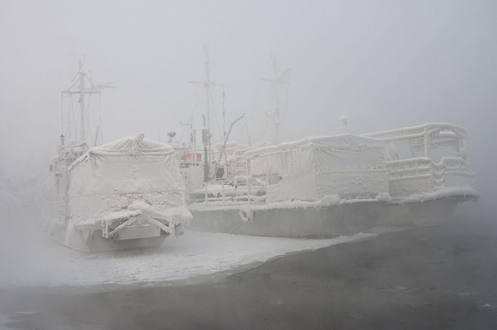 Пережить морозы.