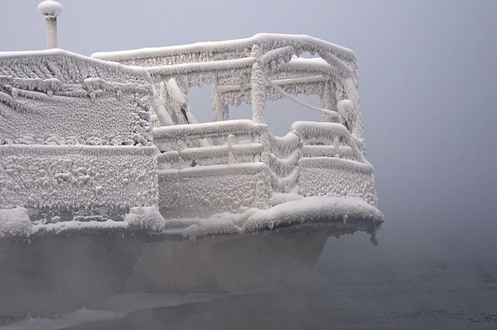 Пережить морозы.