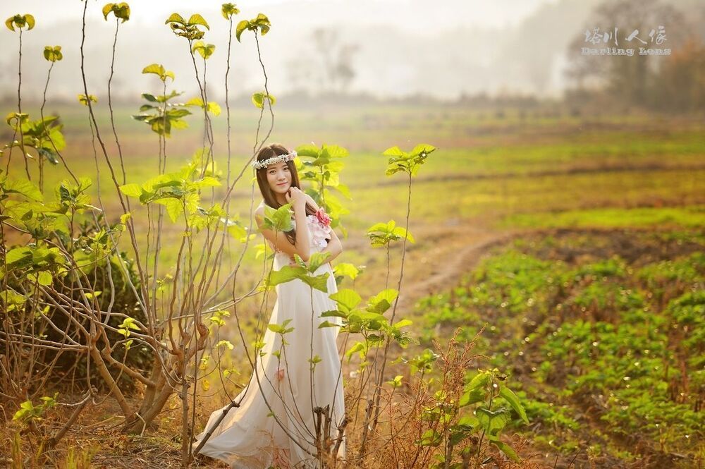 Tachuan Autumn