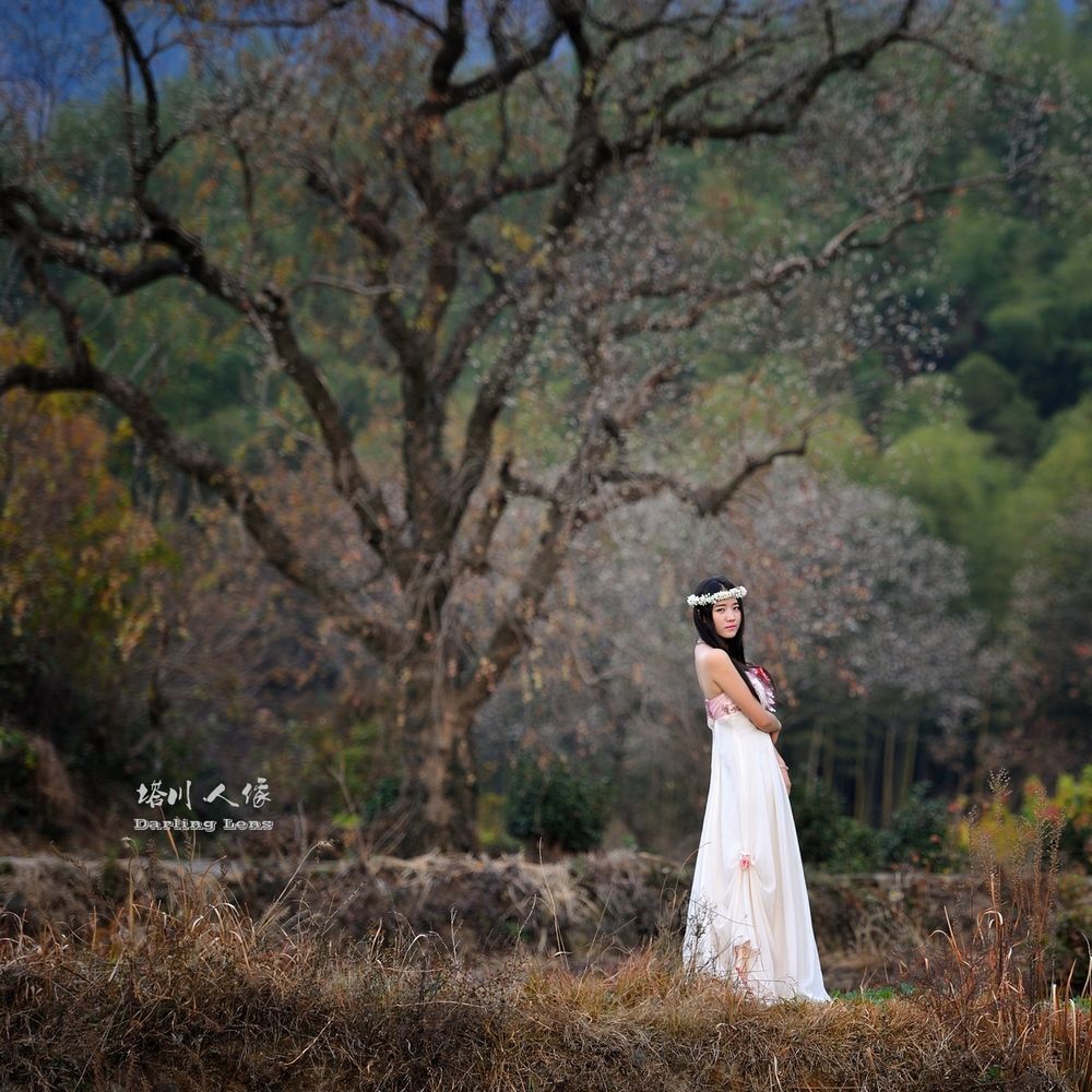 Tachuan Autumn