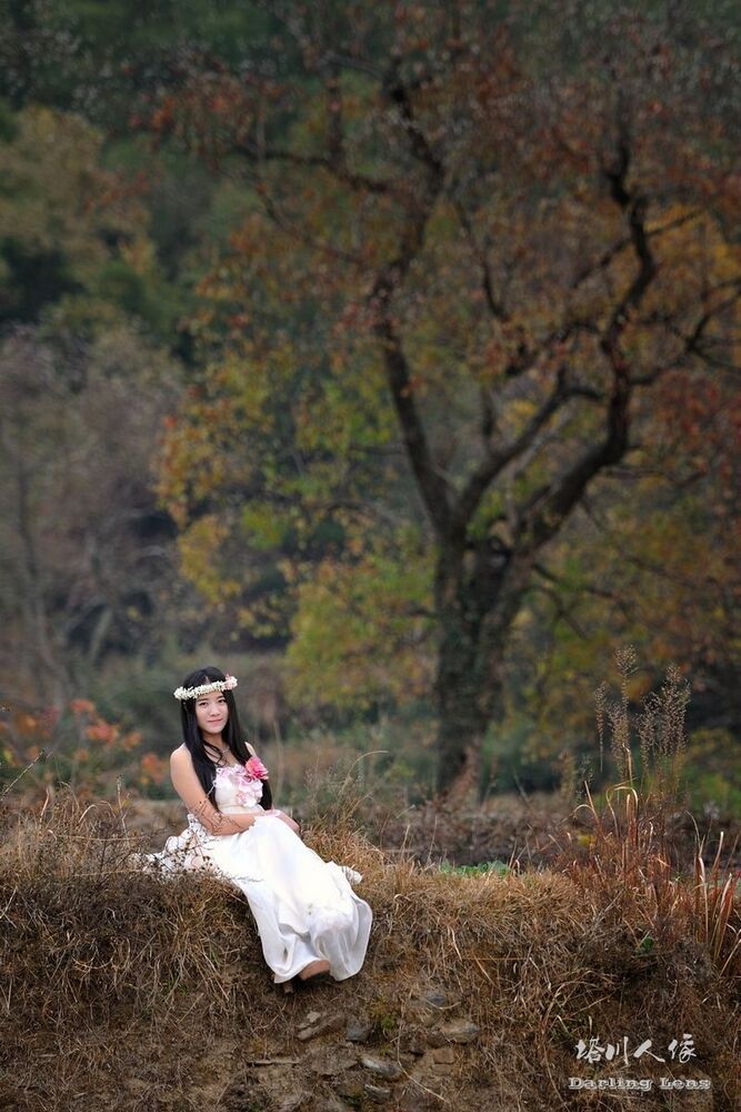 Tachuan Autumn