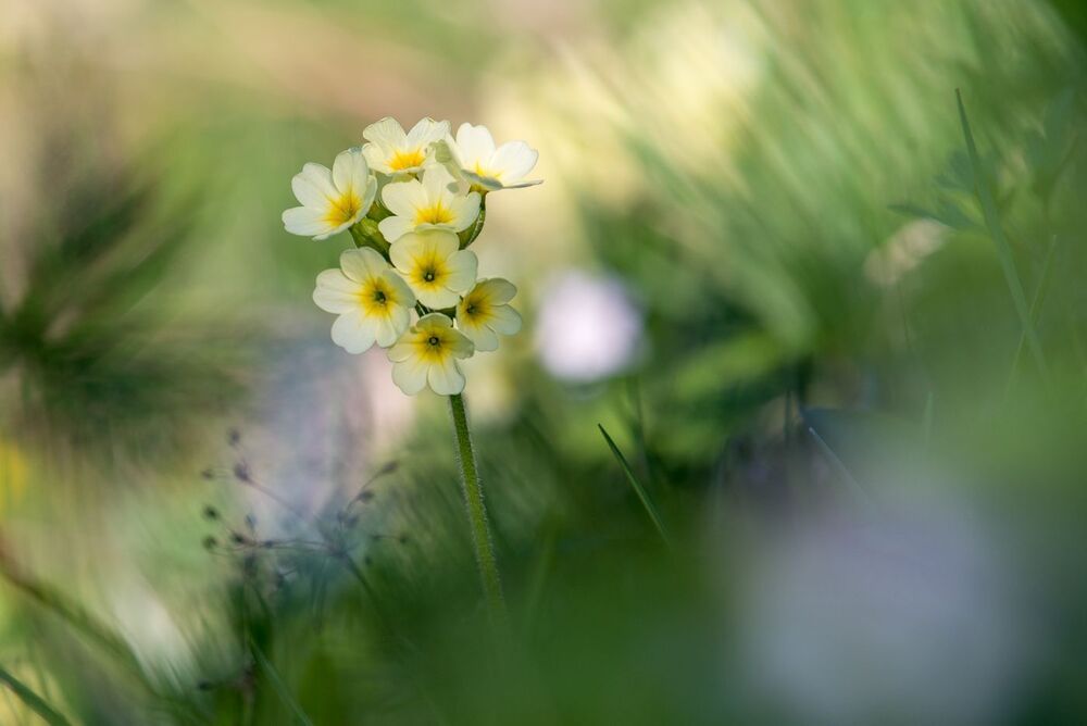 Photo 477317
