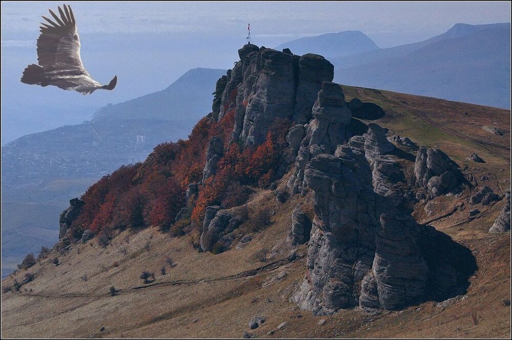 В восходящих потоках