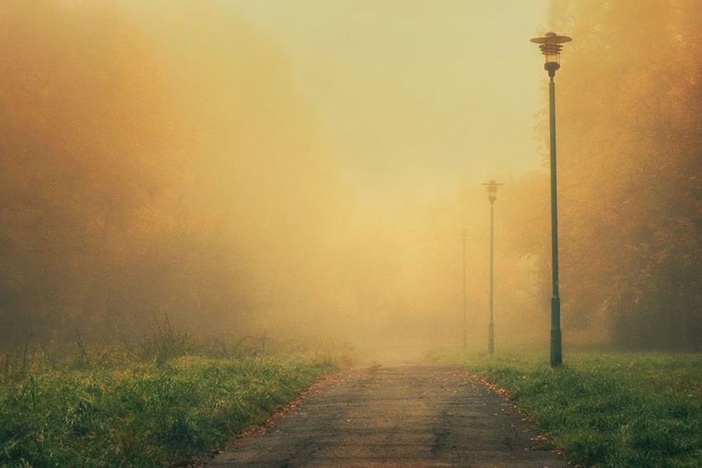 Photo 477927