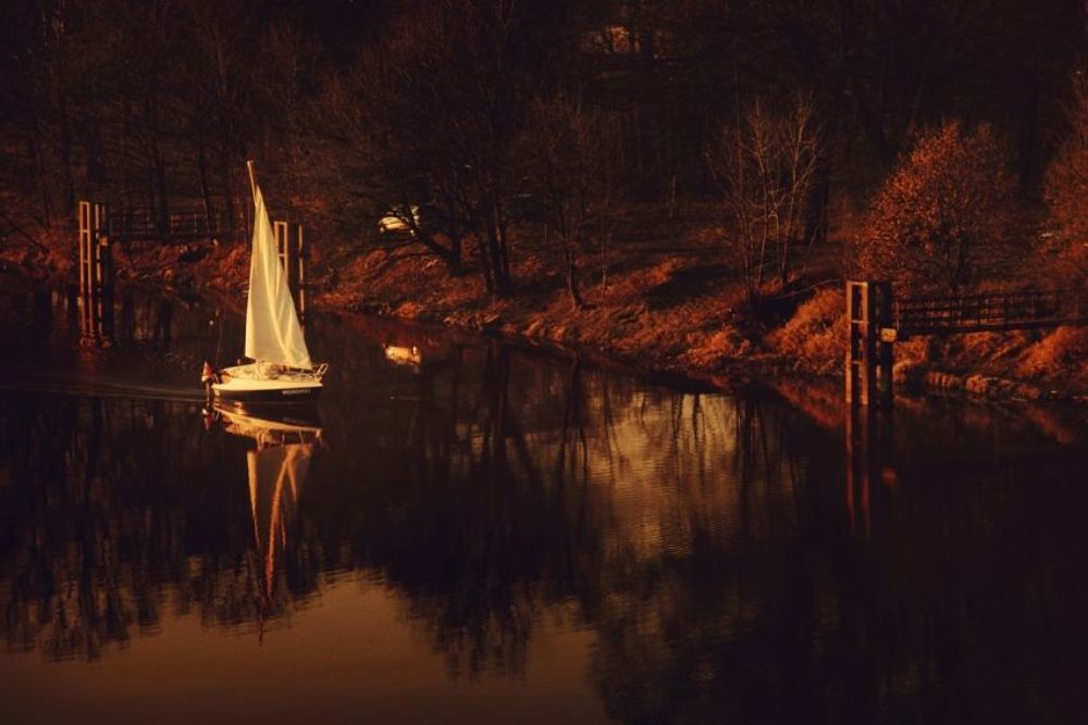 Photo 477930