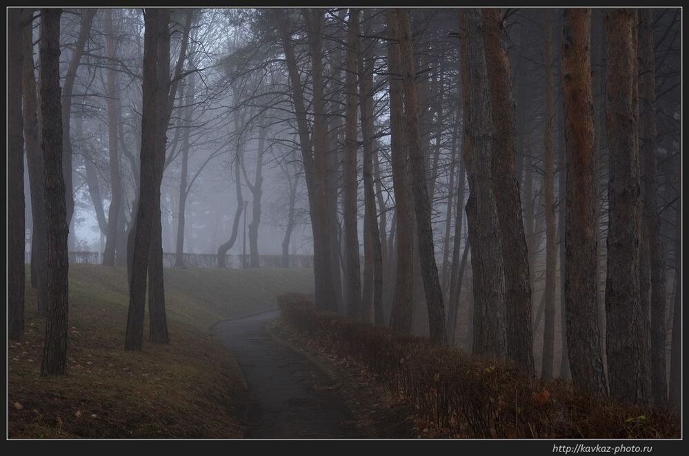 Старый парк