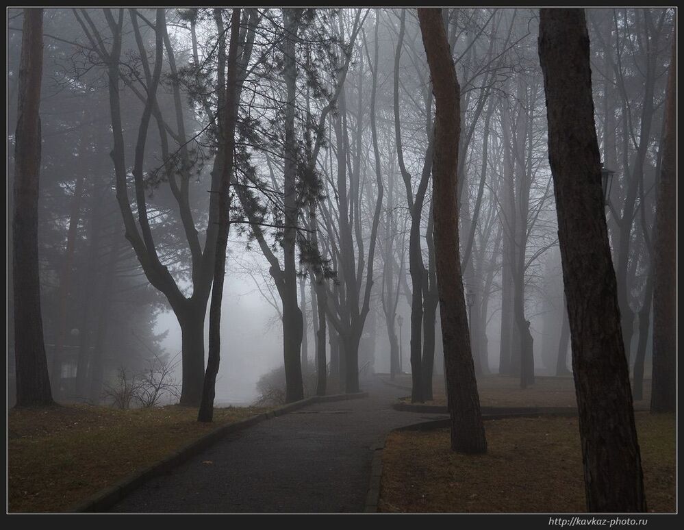 Старый парк