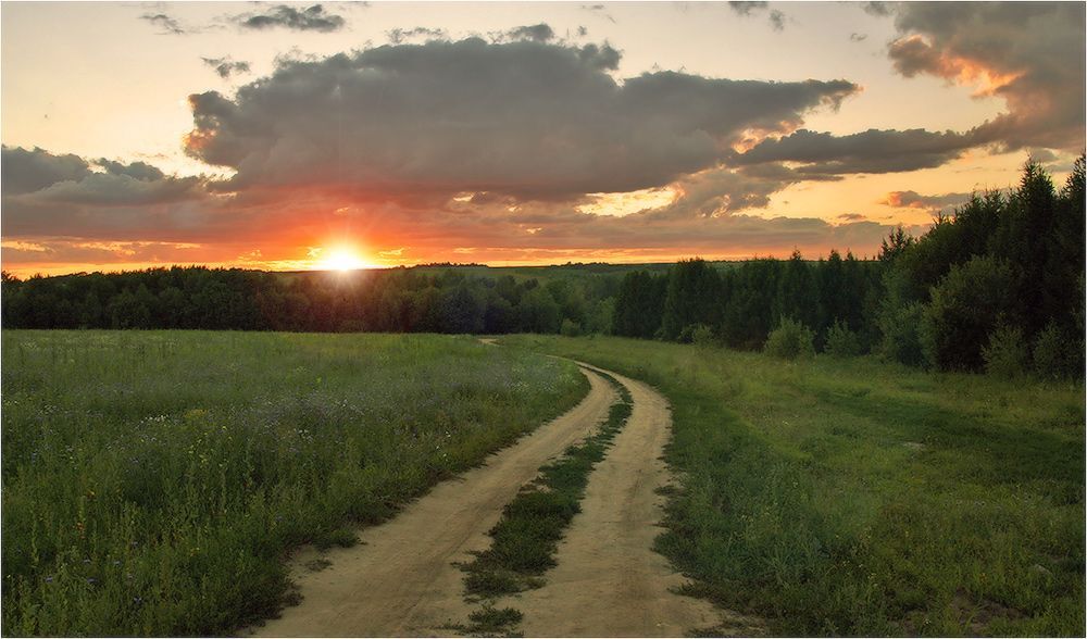 Осень в полях