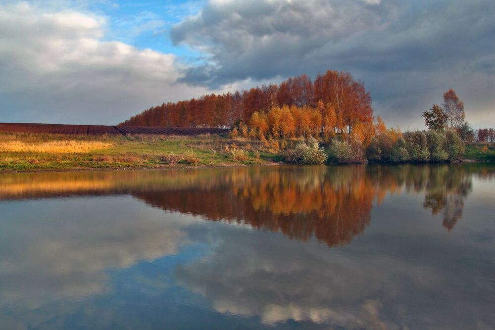 Осень в полях