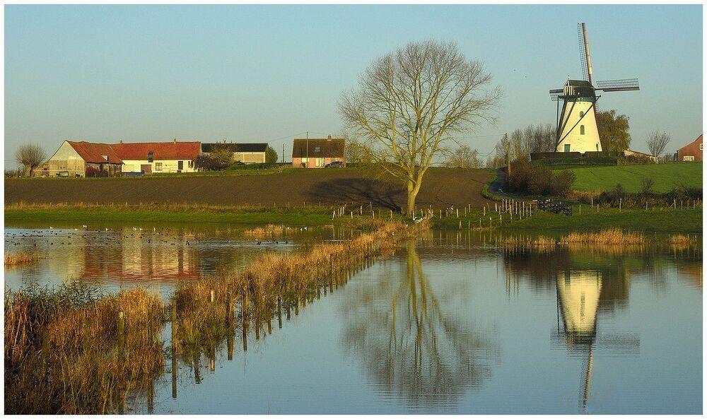 flood at the windmill.